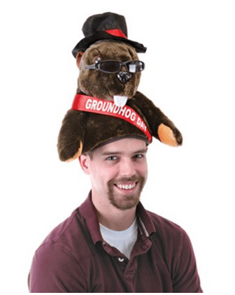 Plush Groundhog Day Hat