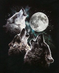 Three Wolves Howling At The Moon