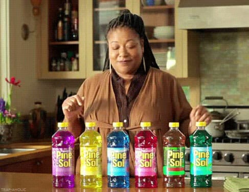 pine sol lady net worth